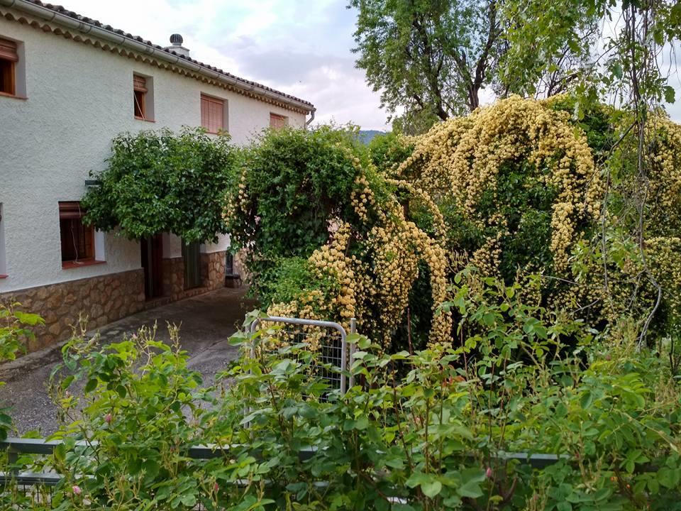 Mesoncillo Neo Villa Hornos Kültér fotó