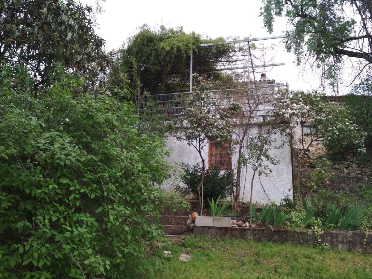 Mesoncillo Neo Villa Hornos Kültér fotó